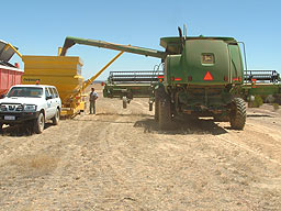 Gebert 4 Grain Cleaner field bin